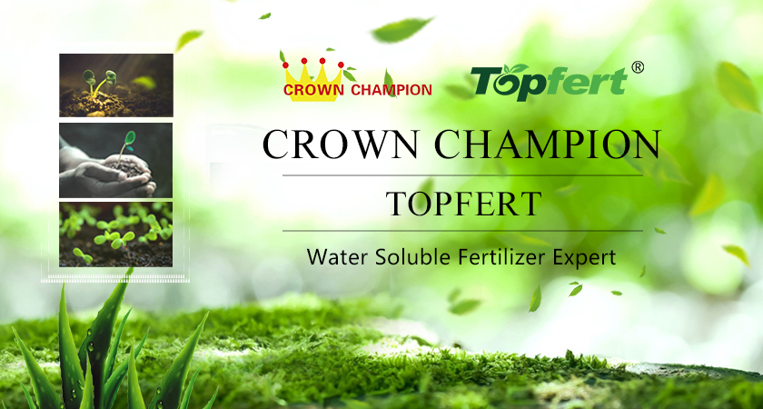 Tianjin Crown Champion - Water Soluble Fertilizer Expert