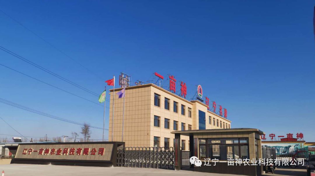 中国碳酶螯合肥生产基地