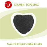 Seaweed extract soluble