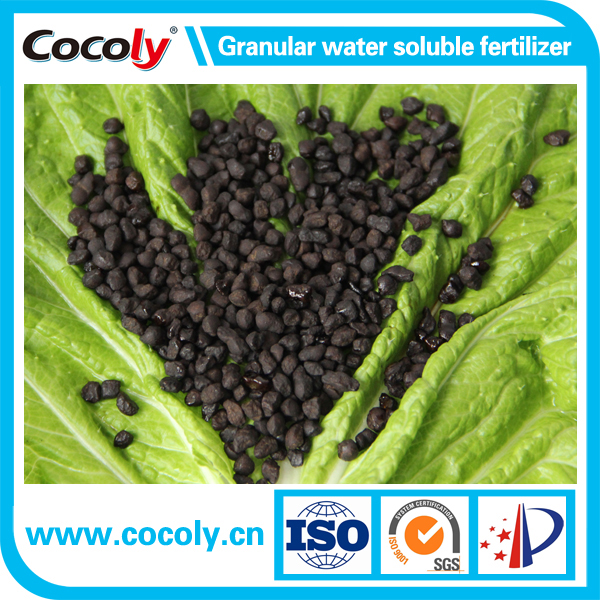 Cocoly Amino Acid Fertilizer