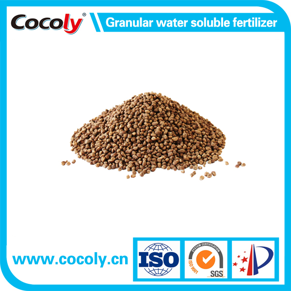 Cocoly Granular Water-soluble Fertilizer