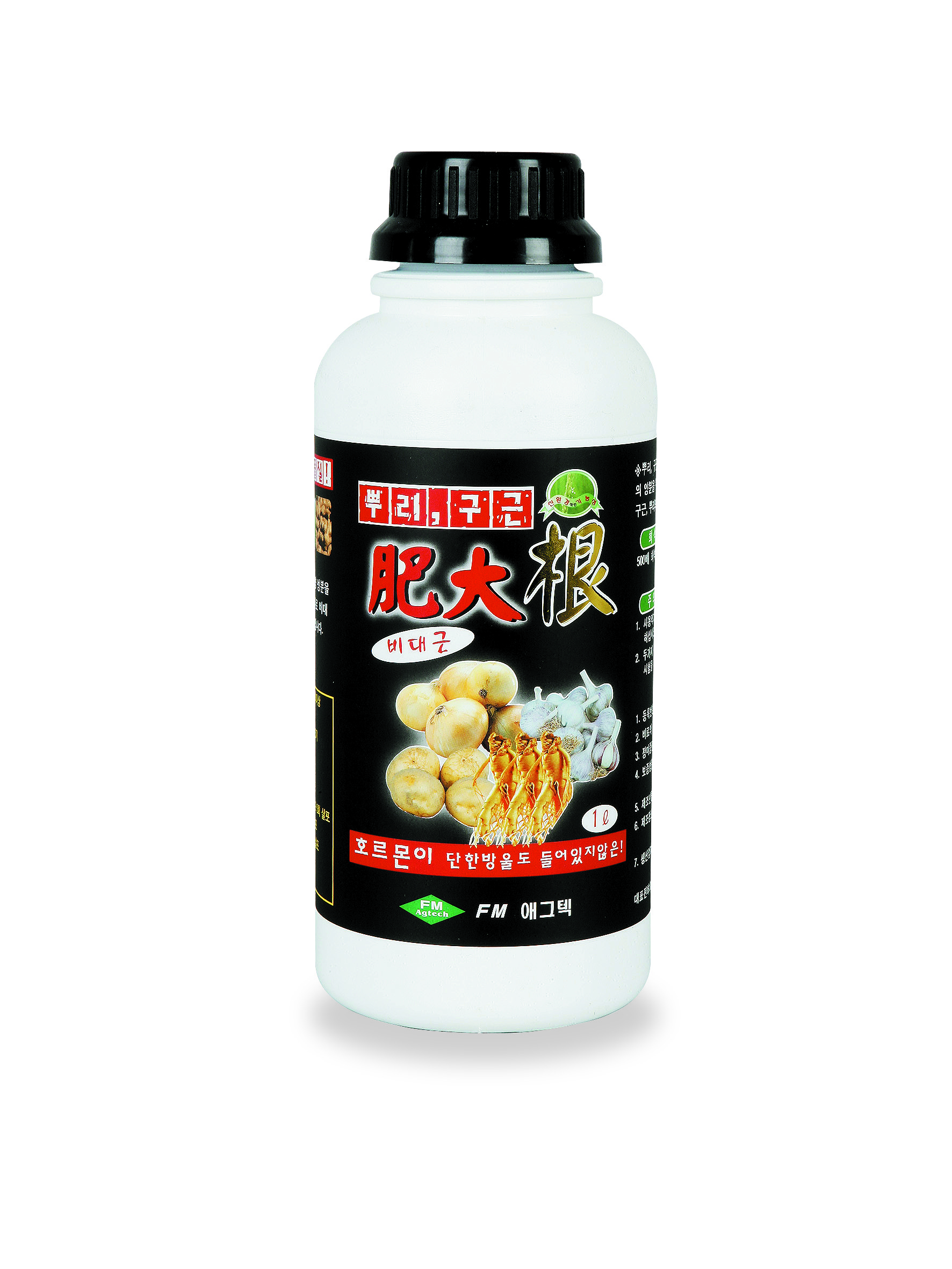 肥大根