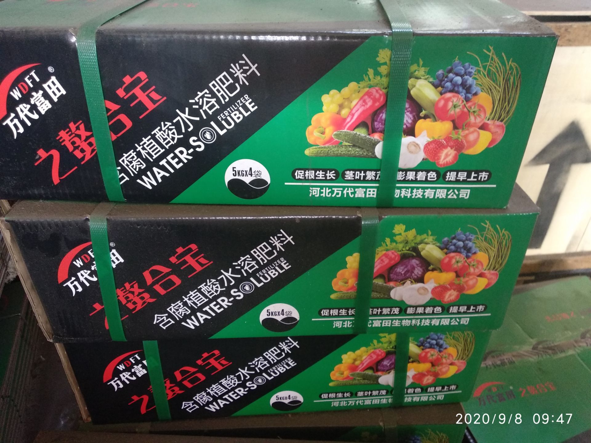 Water Soluble Fertilizer