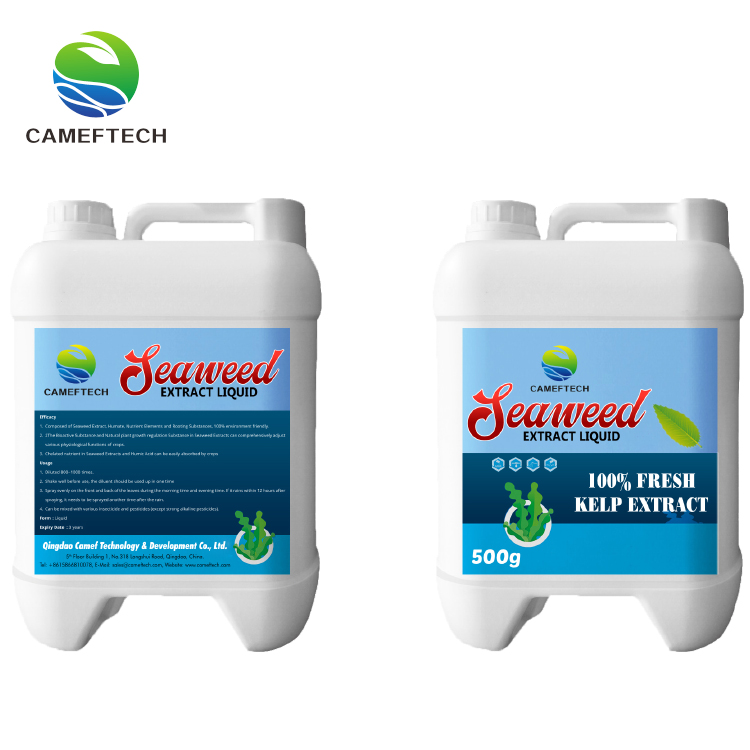 Seaweed Extract Liquid