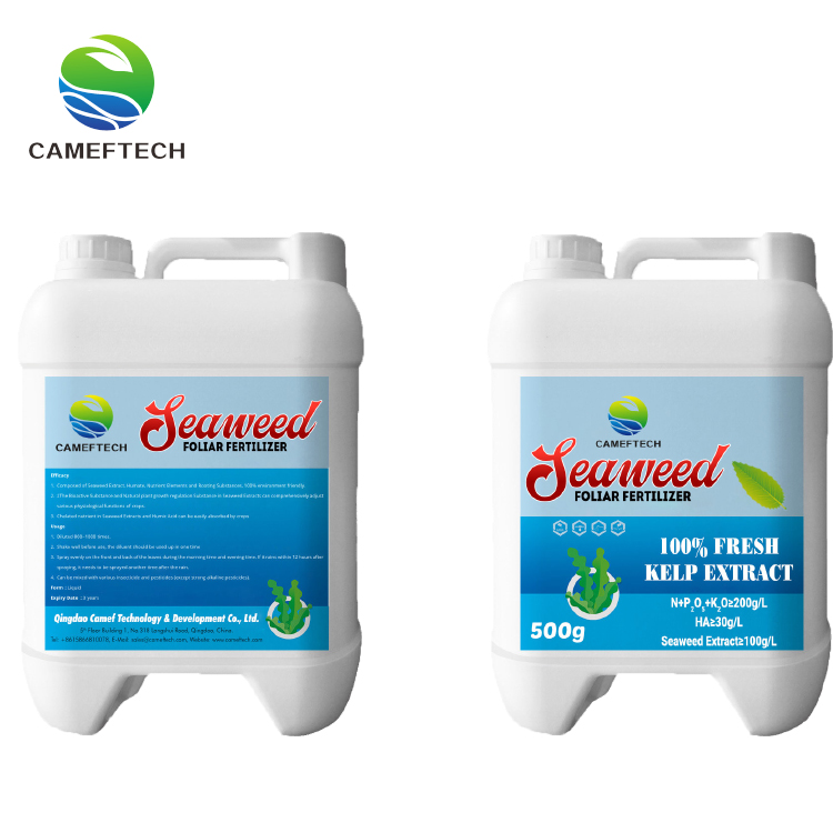 Seaweed Extract Foliar Spray Fertilizer