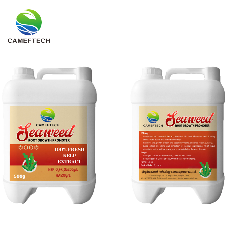 Seaweed Extract Root Growth Promoter