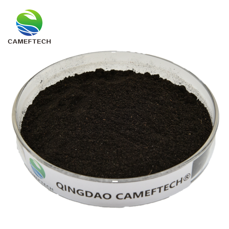 Seaweed Extract Base Powder Fertilizer