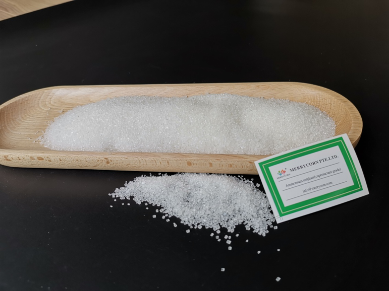 Ammonium Sulphate(Capro Grade)