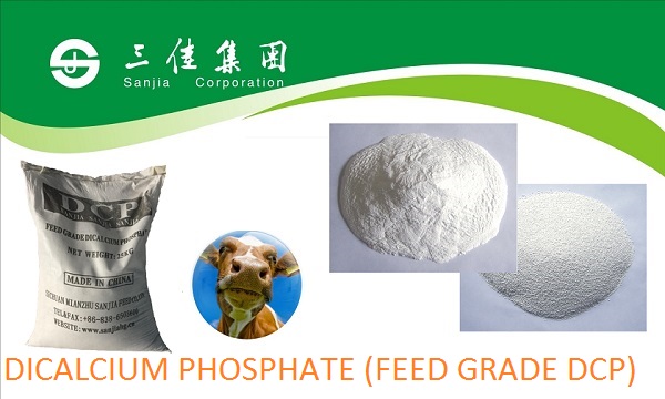 Dicalcium phosphate