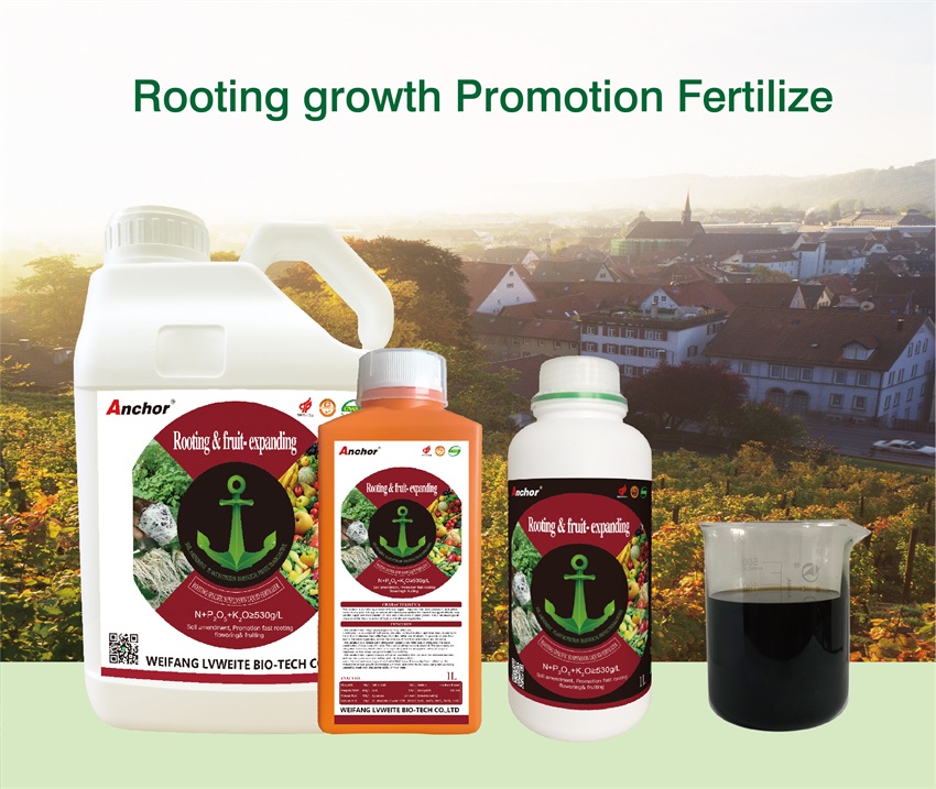 Rooting growth promotion fertilizer