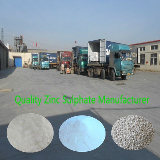 Zinc Sulphate Fertilizer