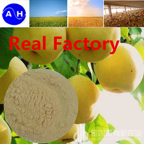 Plant source Enzymatic amino acid 80% organic fertilizer(14-0-0) factory direct supply 