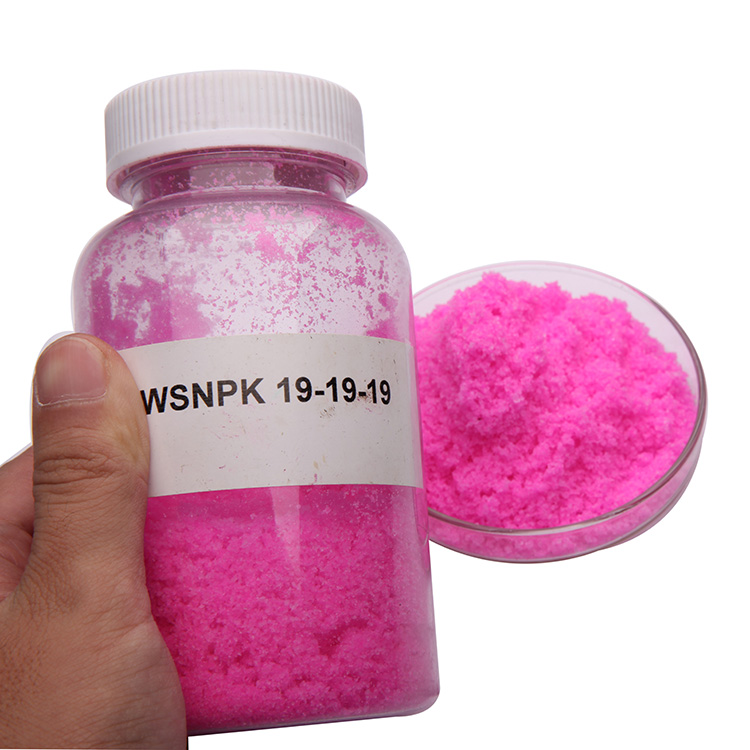 Soluble NPK Fertilizer 19-19-19