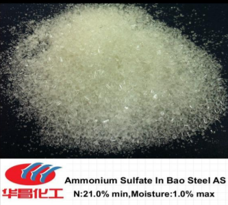 Ammonium Sulfate