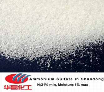 Ammonium Sulfate