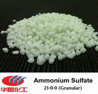 Ammonium Sulfate