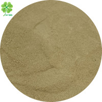 Plant origin Amino acid powder 45% 