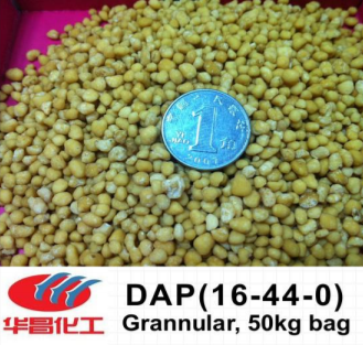 Granular DAP