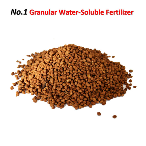 Cocoly brand NPK water soluble fertilizer China factory