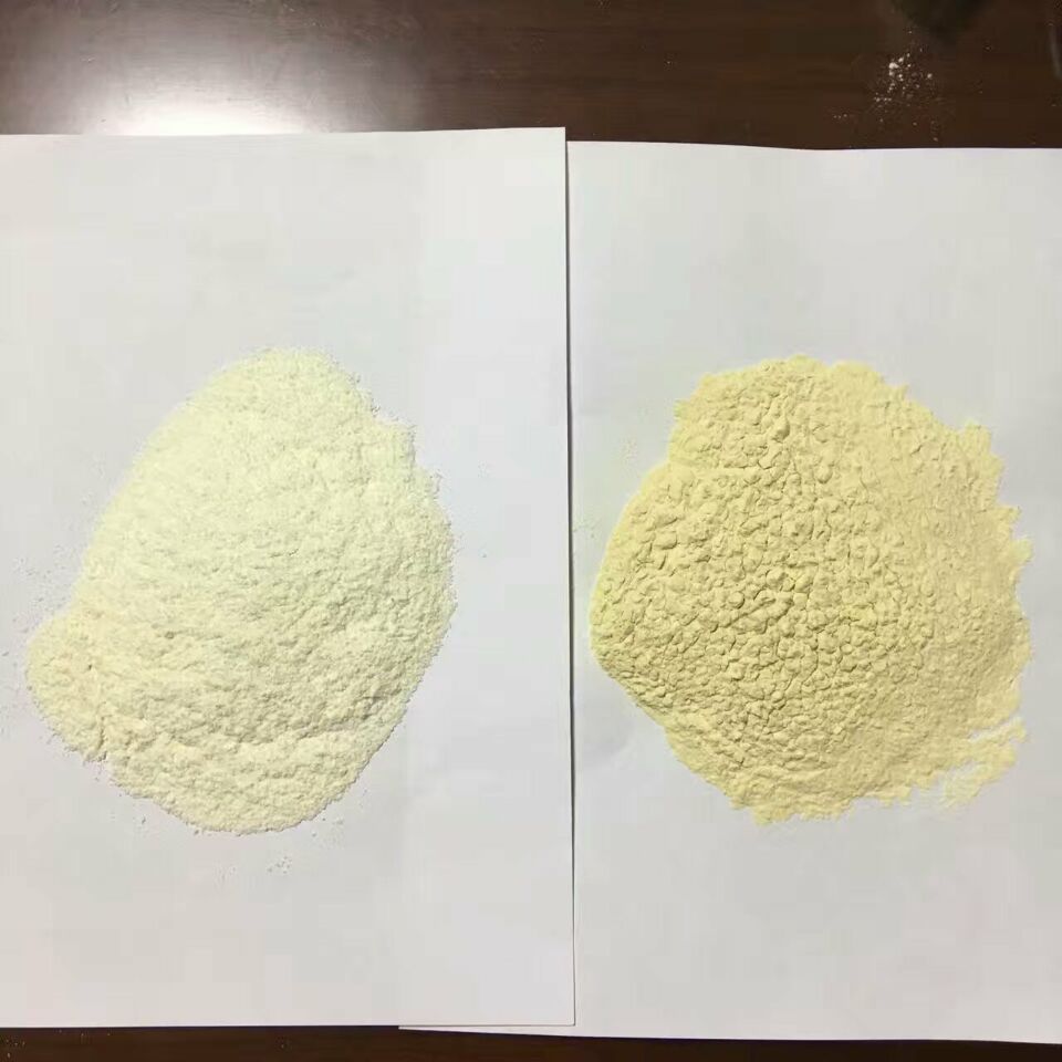 Chitosan powder