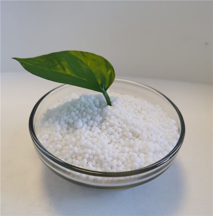硝酸铵钙工艺图片