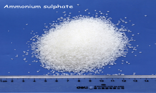 Ammonium sulphate