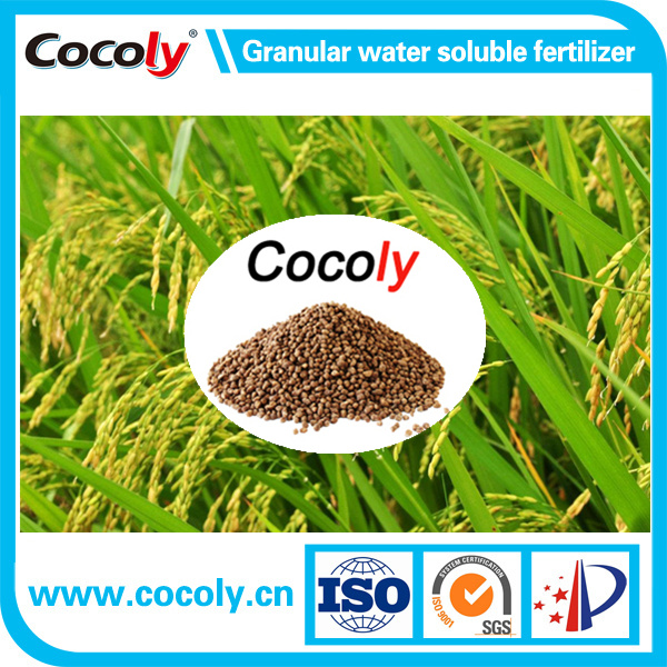 Special fertilizer cocoly brand fully water soluble fertilizer