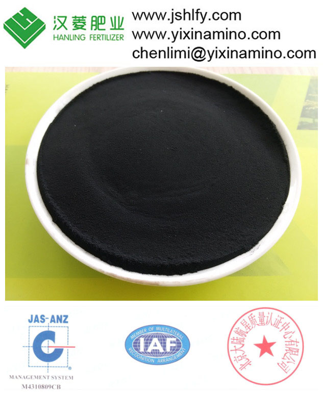 water soluble organic seaweed extract fertilizer powder