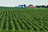 Sound Agriculture launches program to remove the risk associated with fertilizer reduction