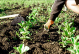 U.S. Agriculture Secretary hopes fertilizer companies will not take advantage of Ukraine crisis